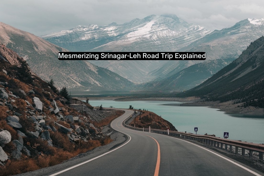 srinagar to leh road trip
