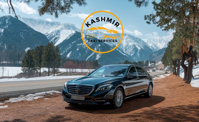 Srinagar to gurez taxi service
