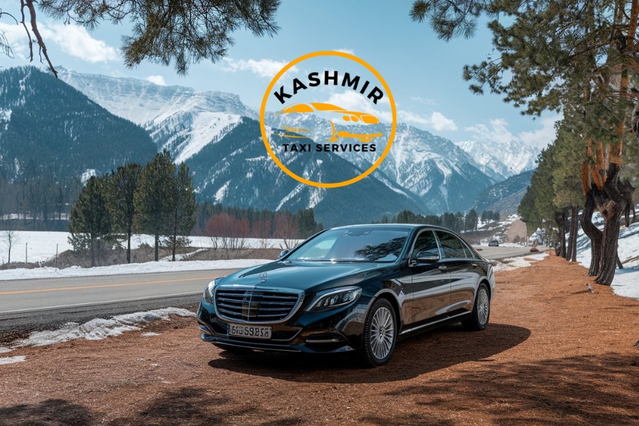 Srinagar to gurez taxi service