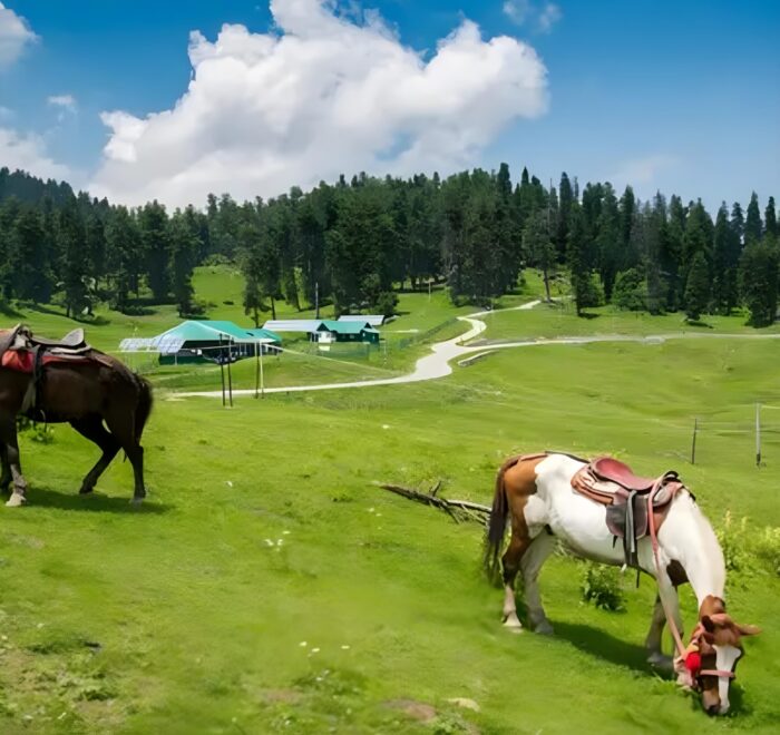 srinagar to pahalgam sightseeing