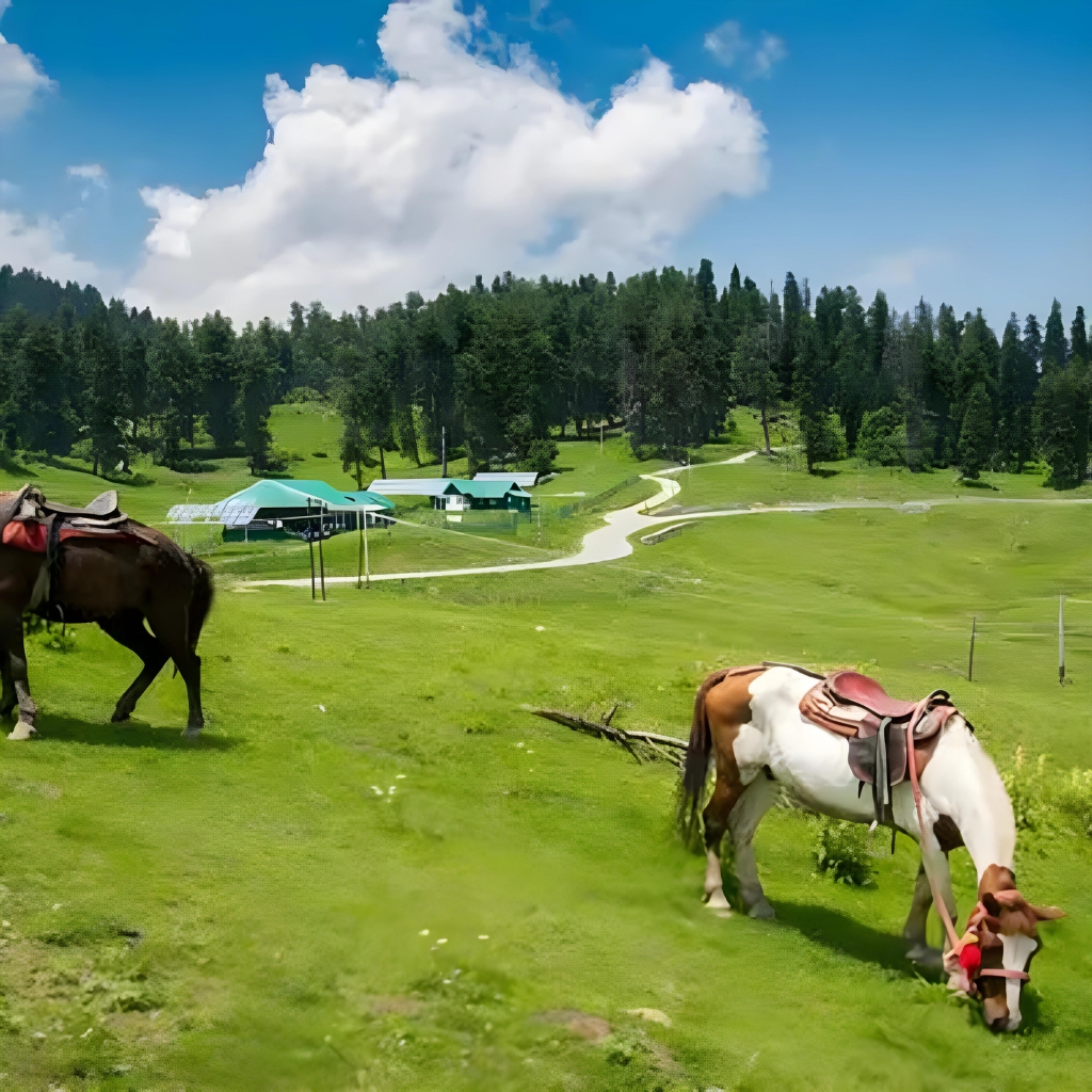 srinagar to pahalgam sightseeing