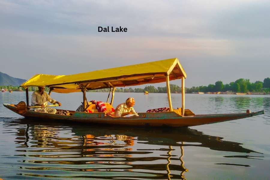 Dal lake srinagar