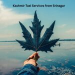 Kashmir Taxi Services from Srinagar