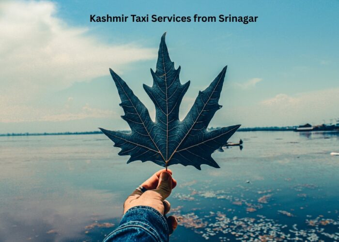 Kashmir Taxi Services from Srinagar
