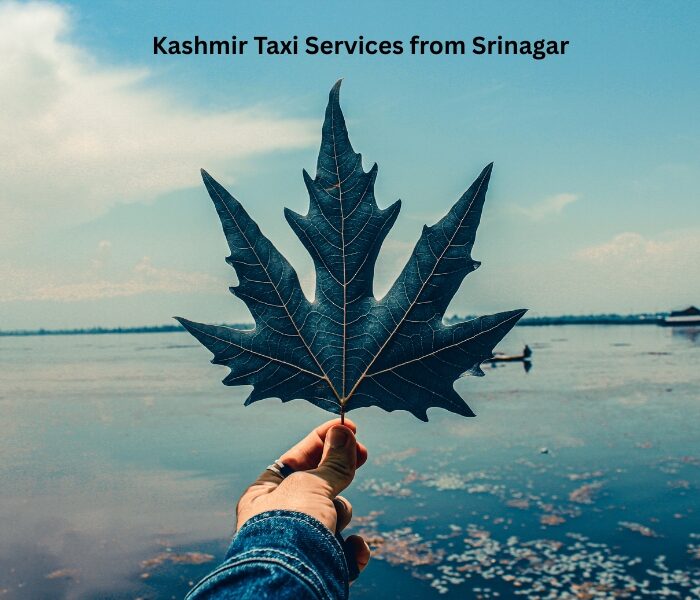 Kashmir Taxi Services from Srinagar
