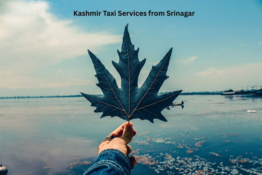 Kashmir Taxi Services from Srinagar